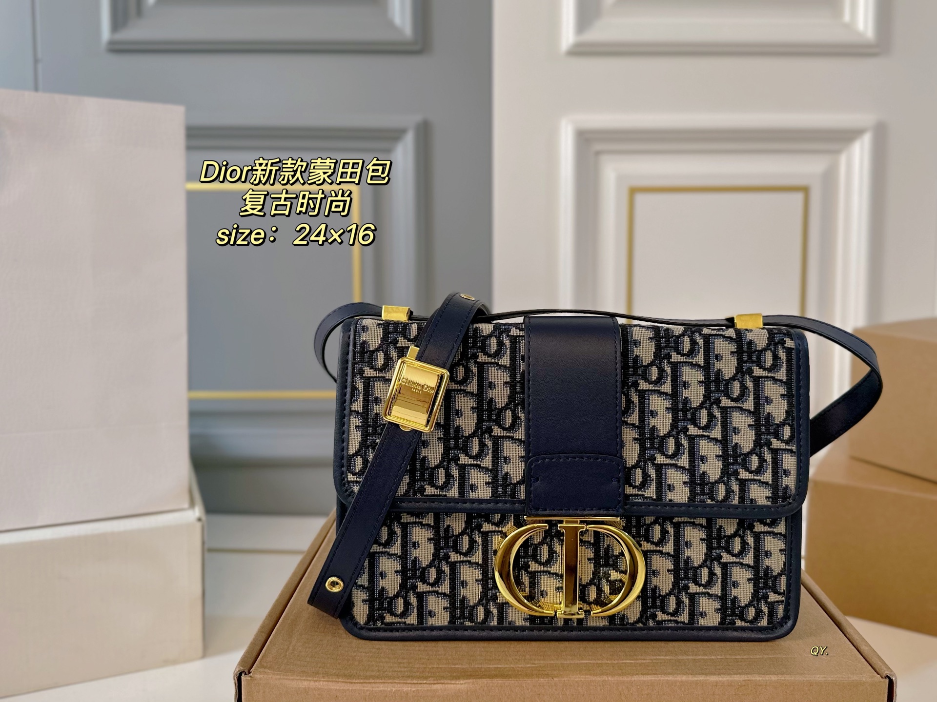 DIOR bag 04